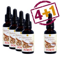   Propolisz tinktúra FORTE, alkoholmentes 30ml - 4+1 db ajándék (Mézbarlang)